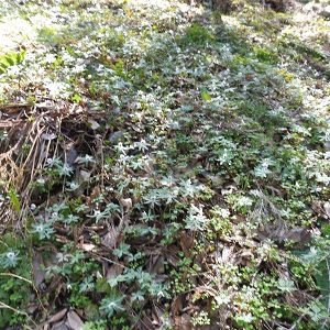 P1040041.JPG