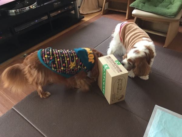 rblog-20161122101154-01.jpg