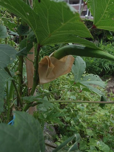 2014_0917_164245-IMGP2849.JPG