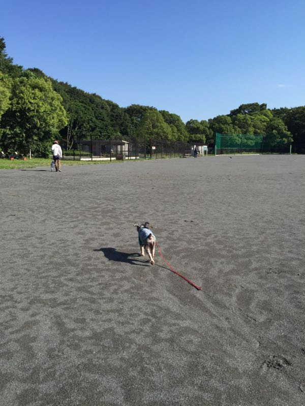 rblog-20160901060441-01.jpg
