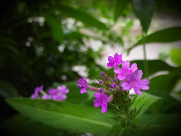 rblog-20160627205604-09.jpg