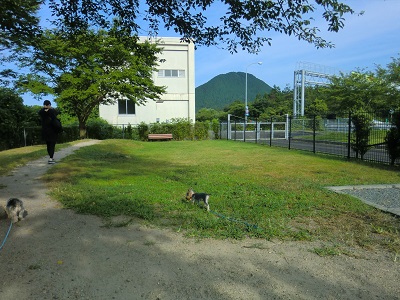 犬おでかけ 京都府 どらちゃん お出かけですよ 犬と旅行記 楽天ブログ