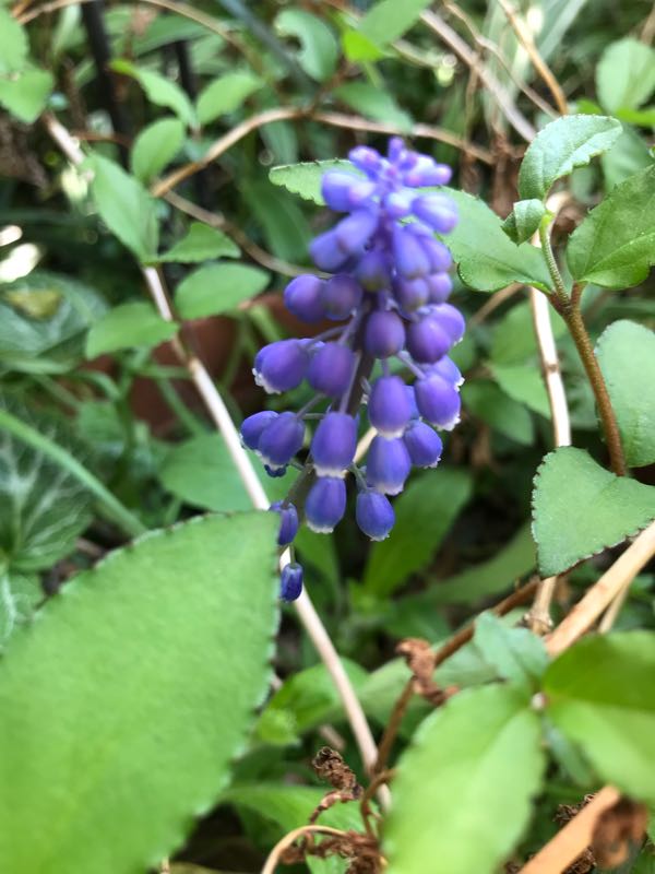 rblog-20180408162606-03.jpg