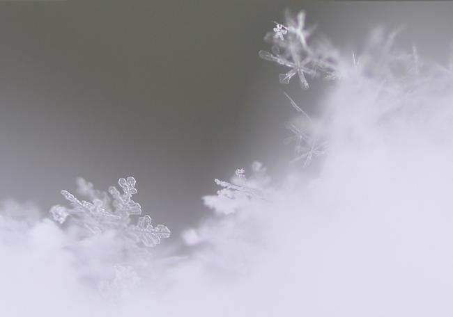 雪の結晶2..jpg