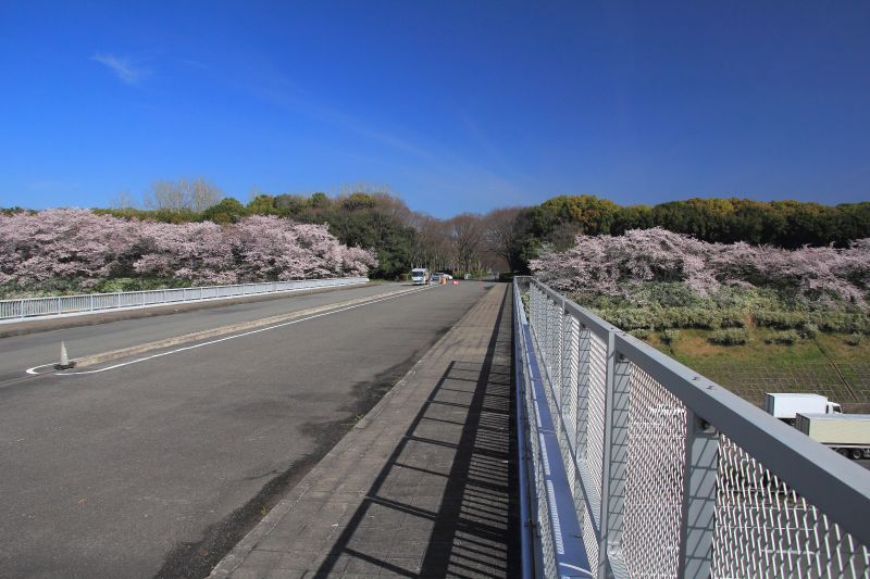 万博記念公園_002.jpg