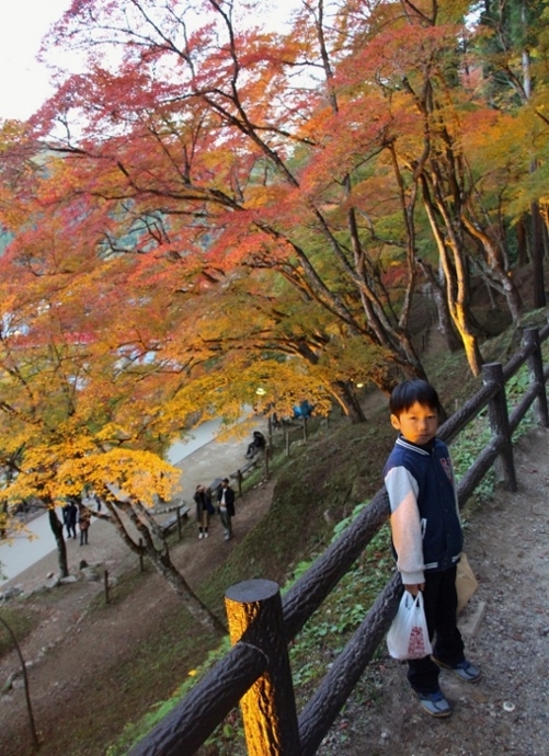 香嵐渓ライトアップ .jpg