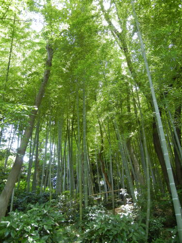 馬場花木園にて