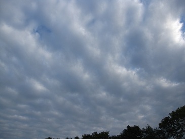 IMG_8427.JPG