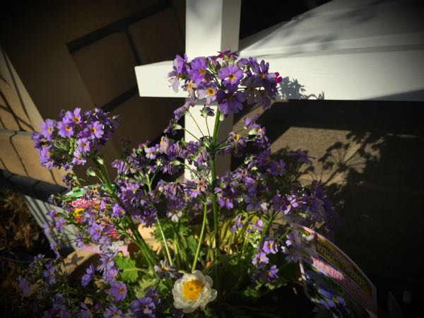 rblog-20160225162021-01.jpg