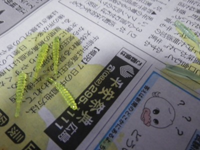 IMGP5362.JPG