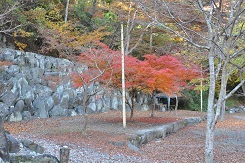 荒川キャンプ場