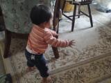 次女・１歳。よちよち歩き