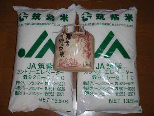 P216米.jpg