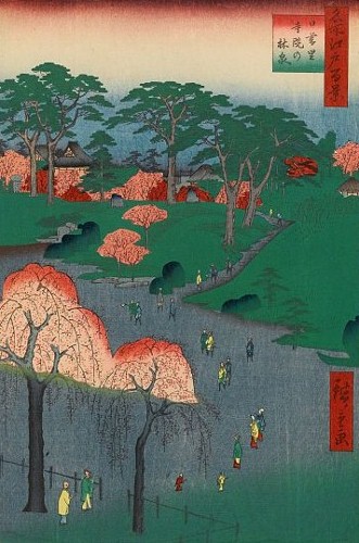 日暮里寺院の林泉 (331x500).jpg