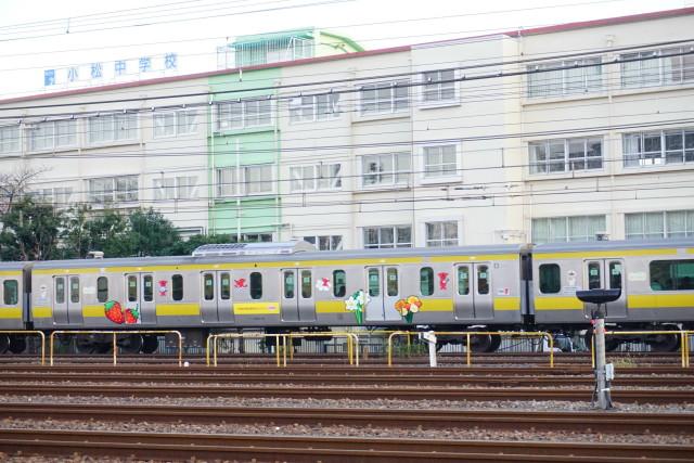 E491系｢East i-E｣ & チ－バくんトレイン5