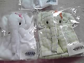 P1000561.JPG