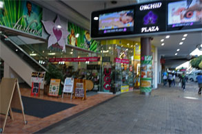 OZ581.jpg