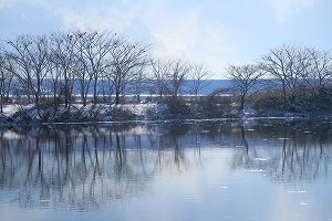 IMG_9946.jpg