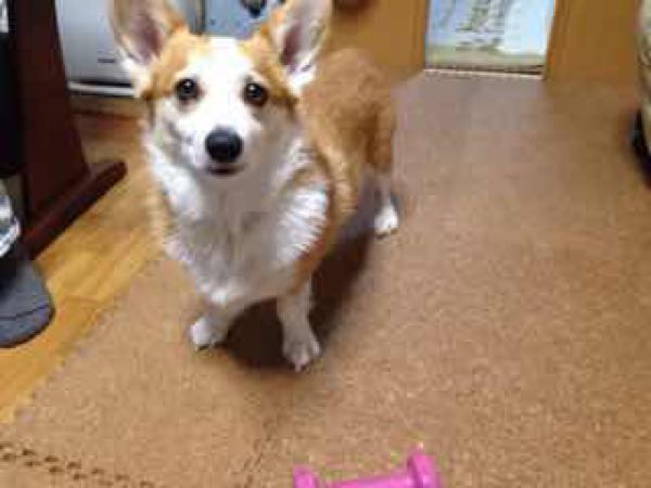 rblog-20150131011310-01.jpg
