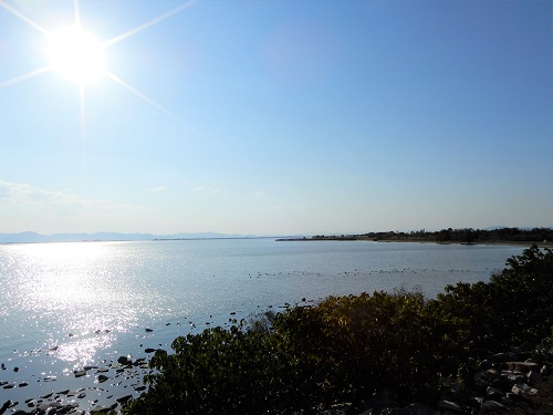 児島湖 (4).JPG