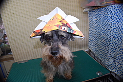 conv0321.JPG