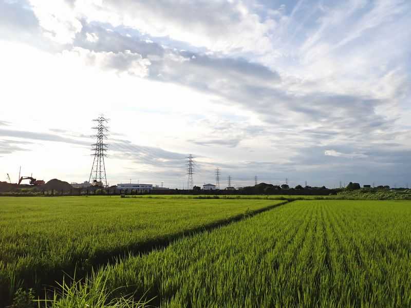 北葛飾線、野田線