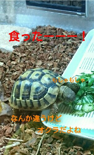 rblog-20151022091020-03.jpg