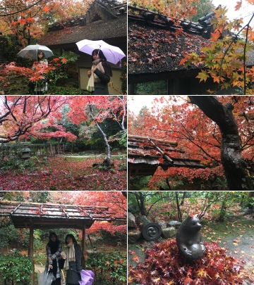 161127厭離庵