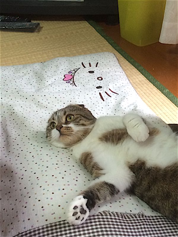 rblog-20150613204651-02.jpg