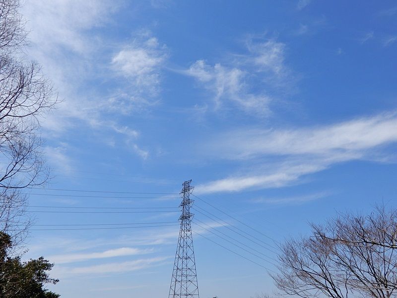 空3