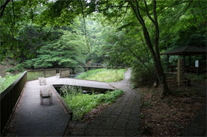 佳松園162.jpg