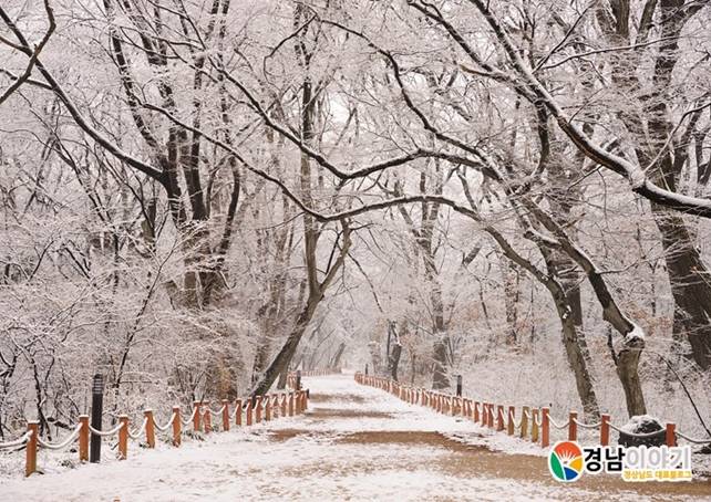 韓国旅行 慶尚南道 韓国南の冬 白く染められた幻想的な景色をとくとご覧あれ 韓国穴場情報ブログ アナバコリア 韓国旅行情報版 楽天ブログ