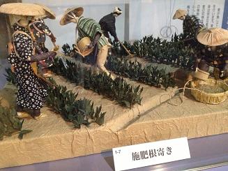 施肥根寄き.JPG