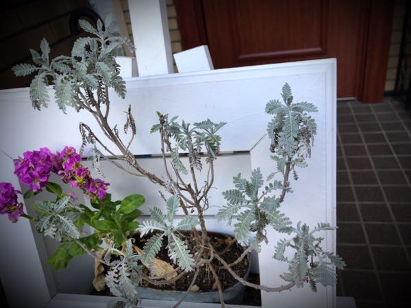 rblog-20161231163224-03.jpg