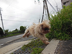 conv0012.JPG