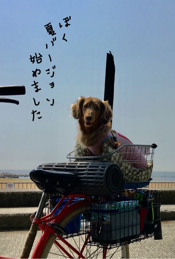rblog-20180402151531-04.jpg