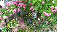 rblog-20130604212656-02.png