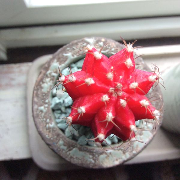 rblog-20140629114440-03.jpg