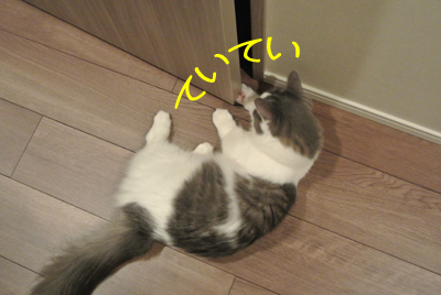 mumu4.jpg