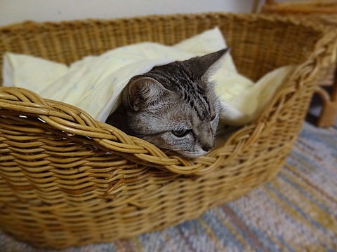 2012100704