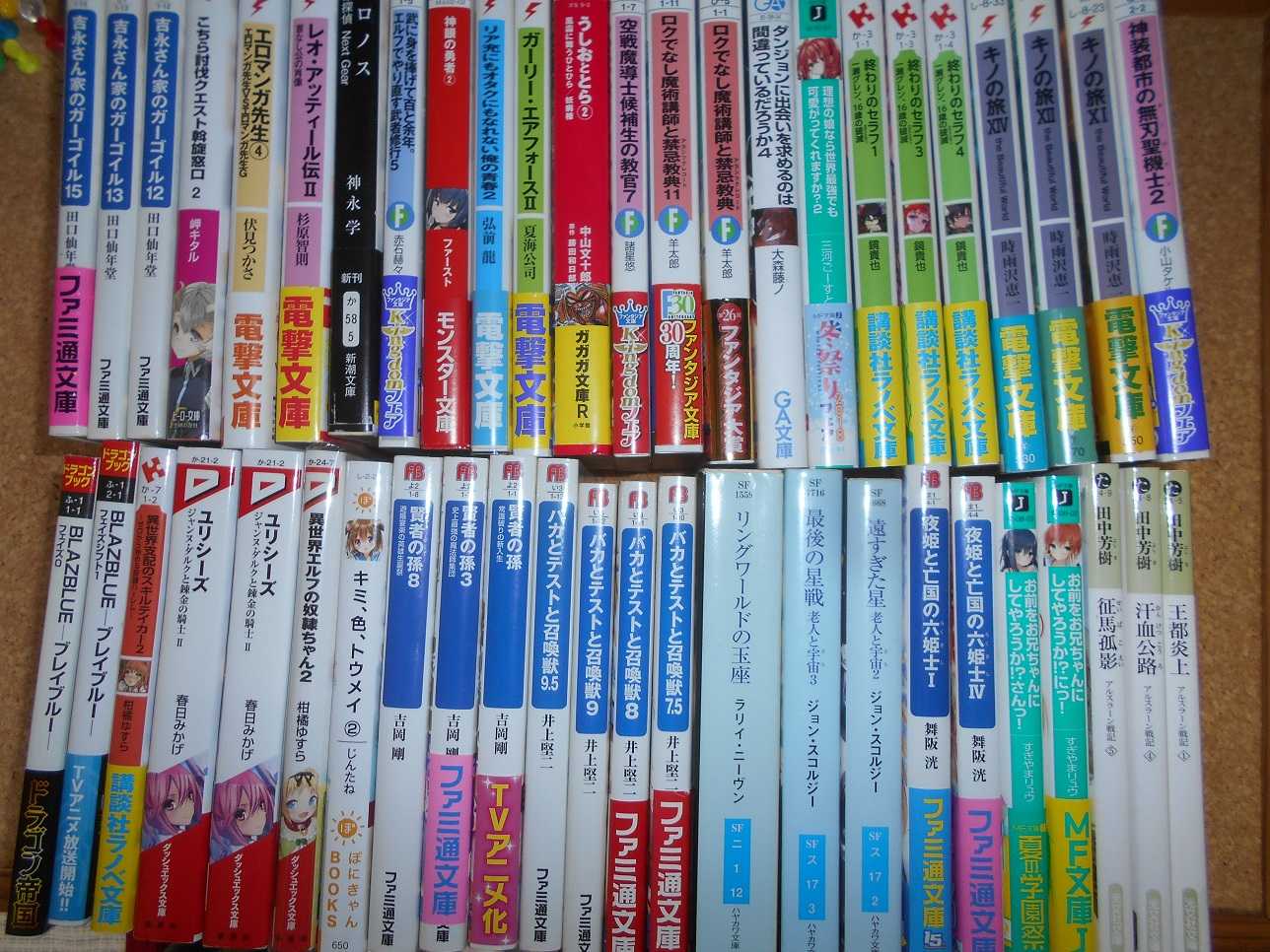 中古福袋 ライトノベル300冊セット その4【駿河屋】 | 憑狐の九十九市 