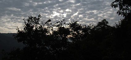 c-IMG_2273.jpg