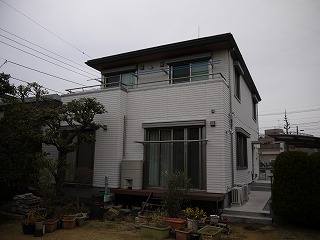 P1000160.jpg