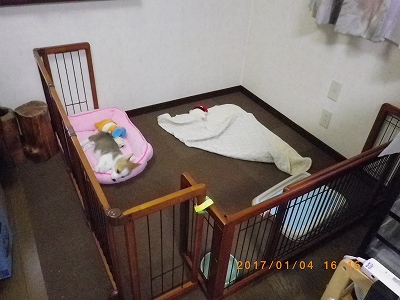 2代目うちの女の子入居