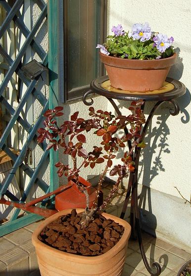 DSC_0127.JPG