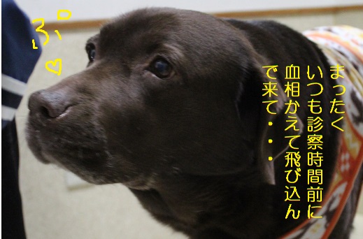 プ