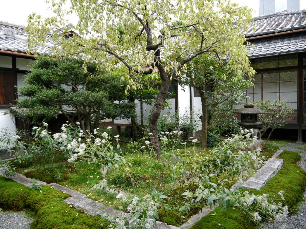 P1090031.JPG