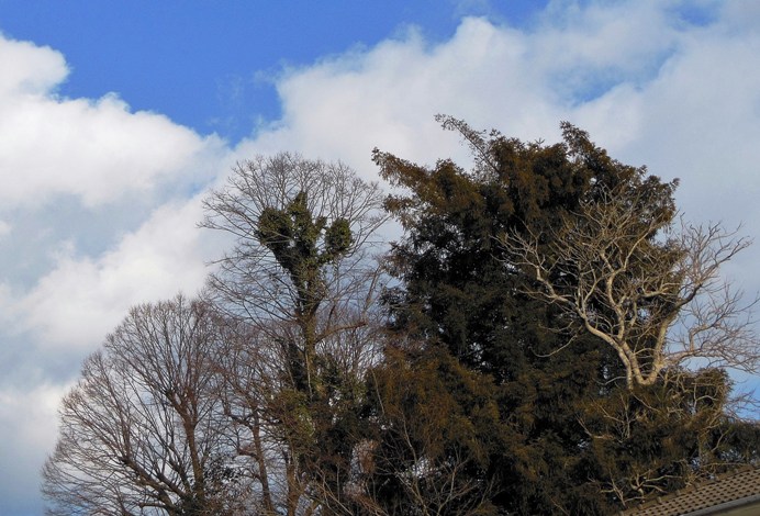 空