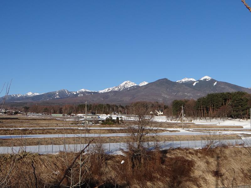 DSC08567.jpg