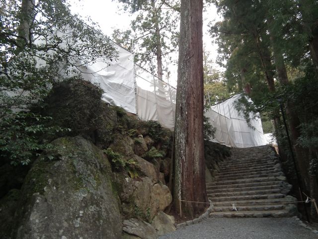 DSCF6724.JPG